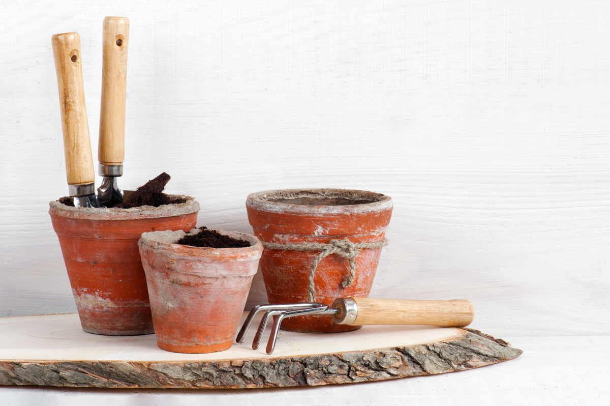 Vasos e instrumentos de jardinagem
