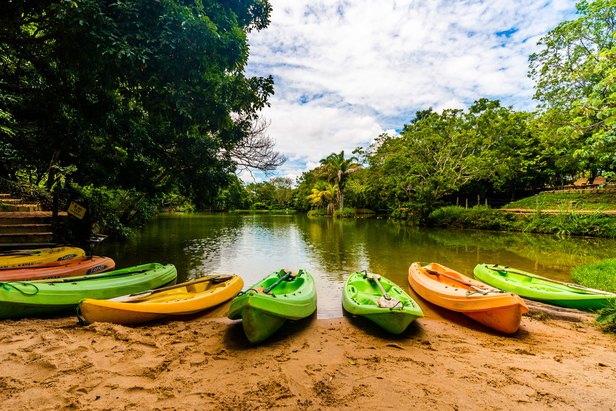 Várias canoas na beira de um rio 