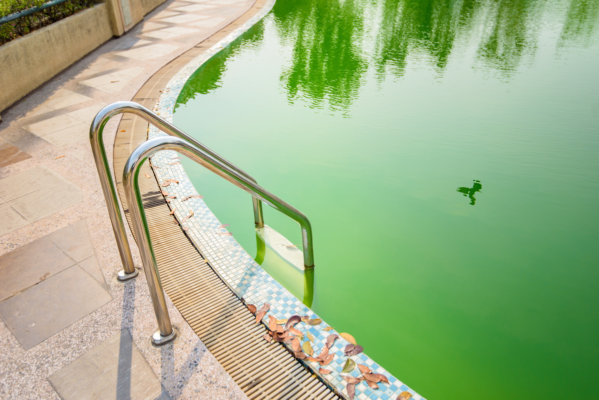 Uma piscina com a água verde