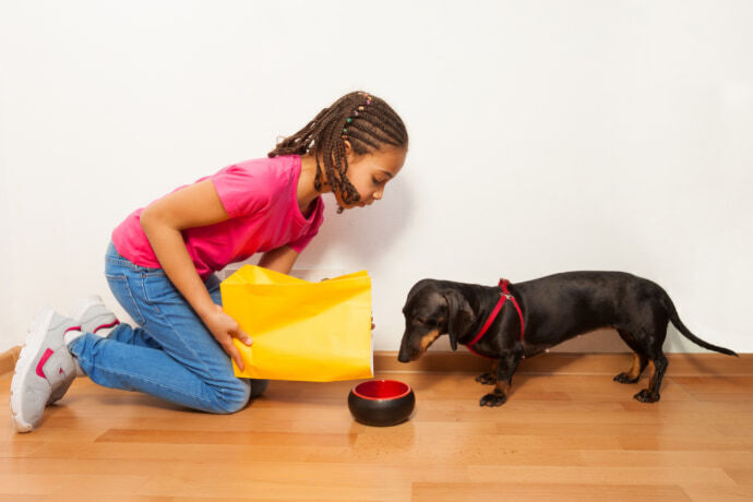 Menina colocando ração na tigela no chão para o cachorro