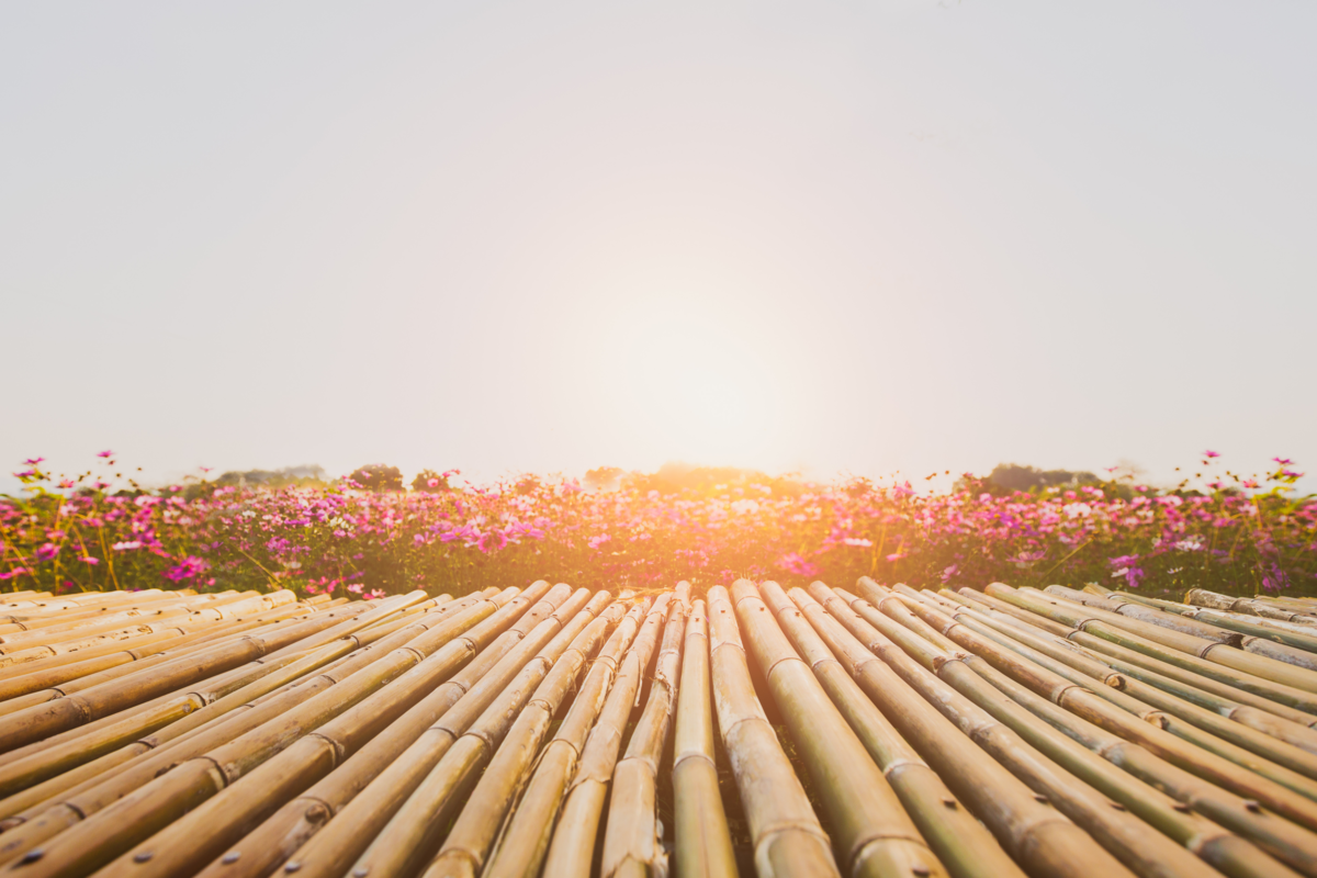 Deck de bambu próximo ao um jardim e com luz do sol refletindo.