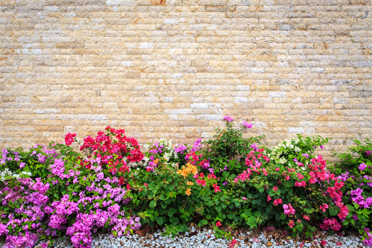 Muro de travertino e jardim decorativo com flores coloridas.