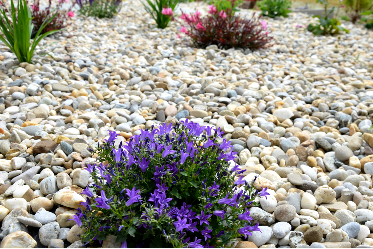 Close-up de um jardim com pedras de seixo natural.