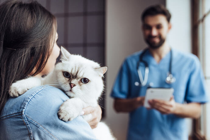 Mulher levando gato no veterinário 
