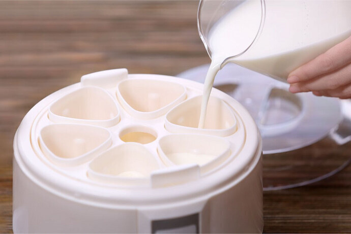 Colocando leite na iogurteira 