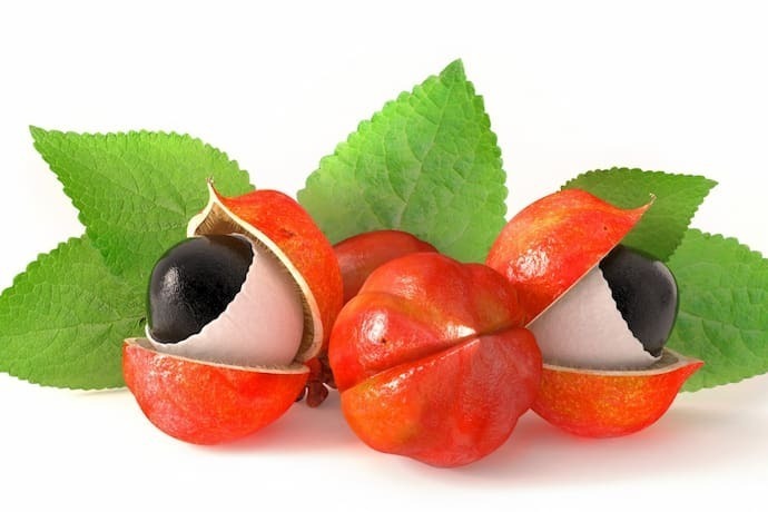 Fruta guaraná 