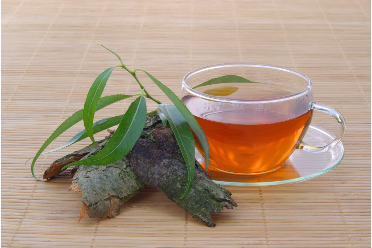Galho e folhas de salgueiro ao lado de xícara de chá