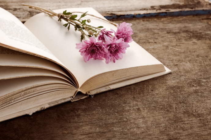 Livro aberto e uma ramo de flores sobre a madeira