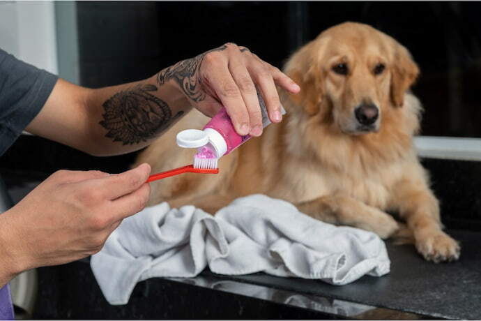 Mulher colocando pasta de dente na escova e cachorro ao lado