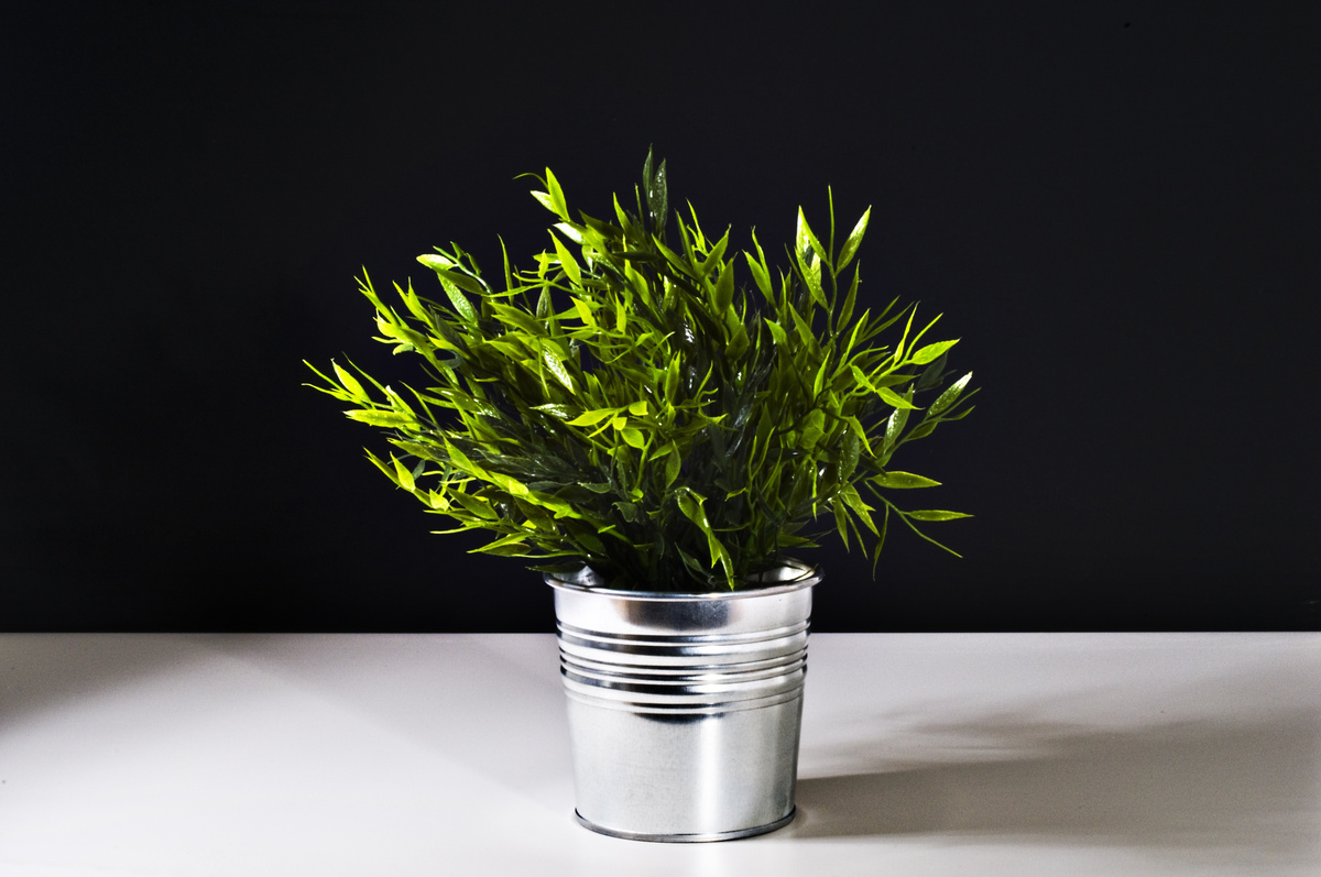 Planta em vaso de alumínio 