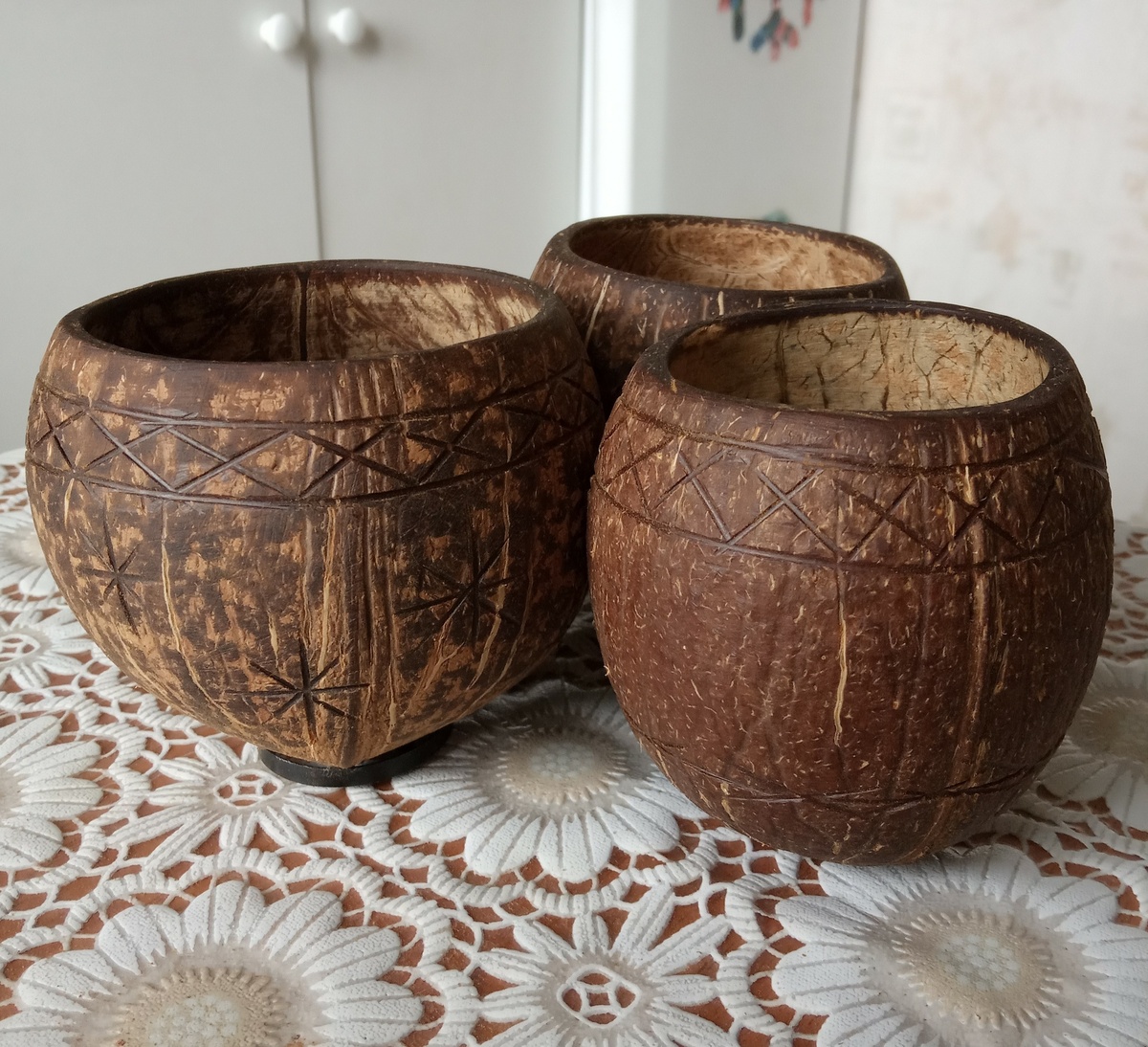 Vasos de fibra de coco